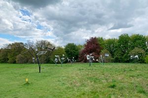 [Dennis Oppenheim][0], _Trees: From Alternative Landscape Components_. Yorkshire Sculpture Park, United Kingdom. Photo: Georges Armaos.


[0]: https://ocula.com/artists/dennis-oppenheim/